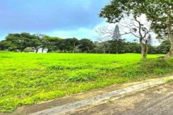 Lovely residential lot for sale in Dasmarinas Village! (CFPP46)